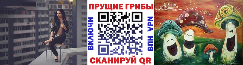 Псилоцибиновые грибы Psilocybine cubensis Ахтубинск